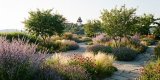 Garden Design in Graz 2026: Climate-Adapted Plants and Current Trends