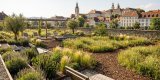 Garden Design in Graz: Climate-Adaptive Plants and New Trends