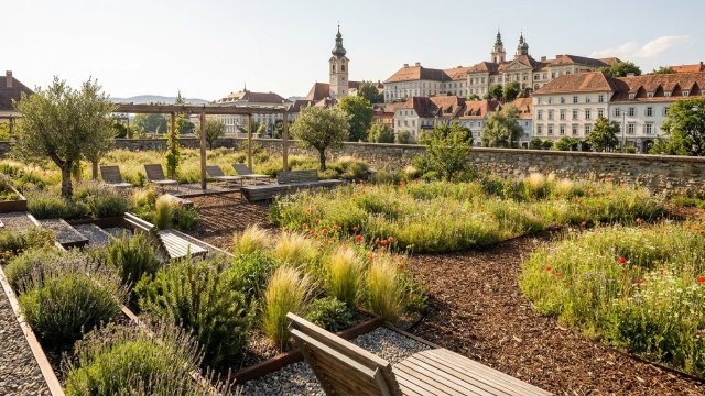Garden Design in Graz: Climate-Adaptive Plants and New Trends